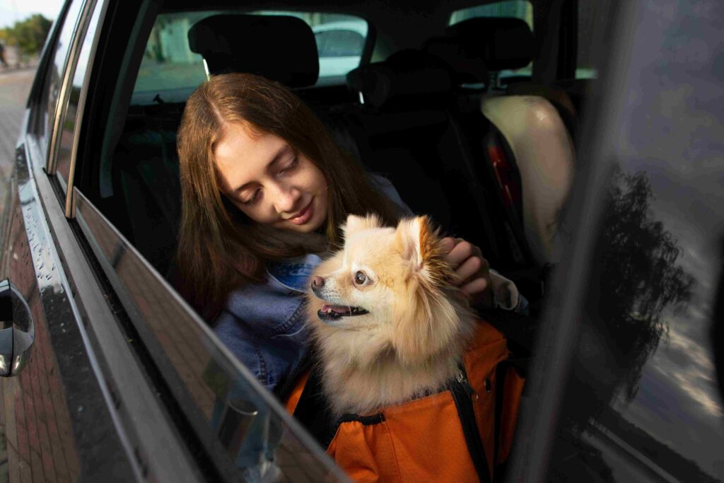 SUV Car Rental Dubai – Stress-Free Travel for Pet Owners