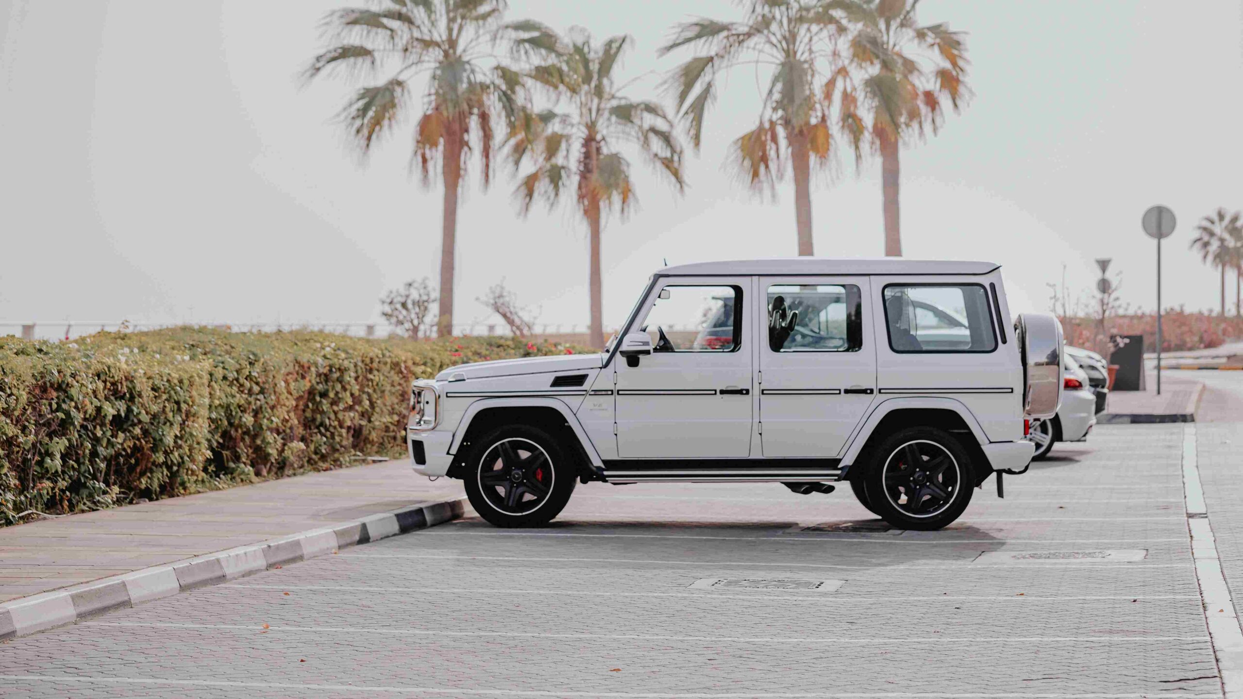 SUV Car Rental Dubai – Stress-Free Travel for Pet Owners